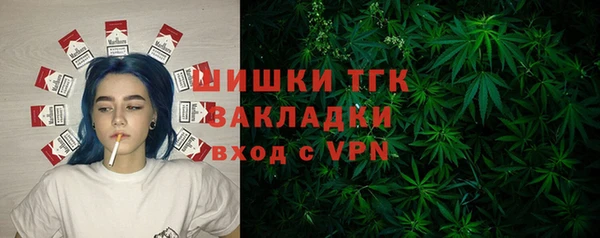 МДПВ Бородино