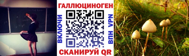 наркота  Егорьевск  Псилоцибиновые грибы ЛСД 